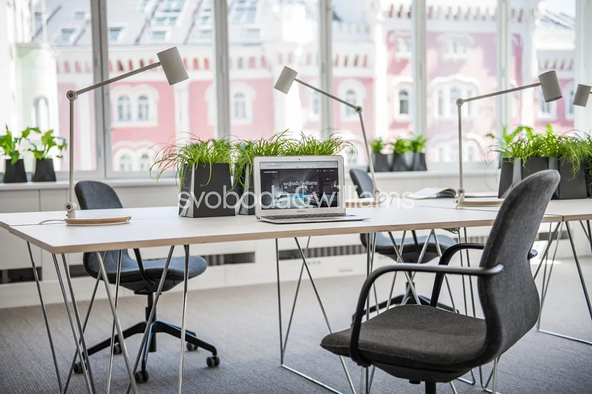 Pronájem kanceláře 453 m²