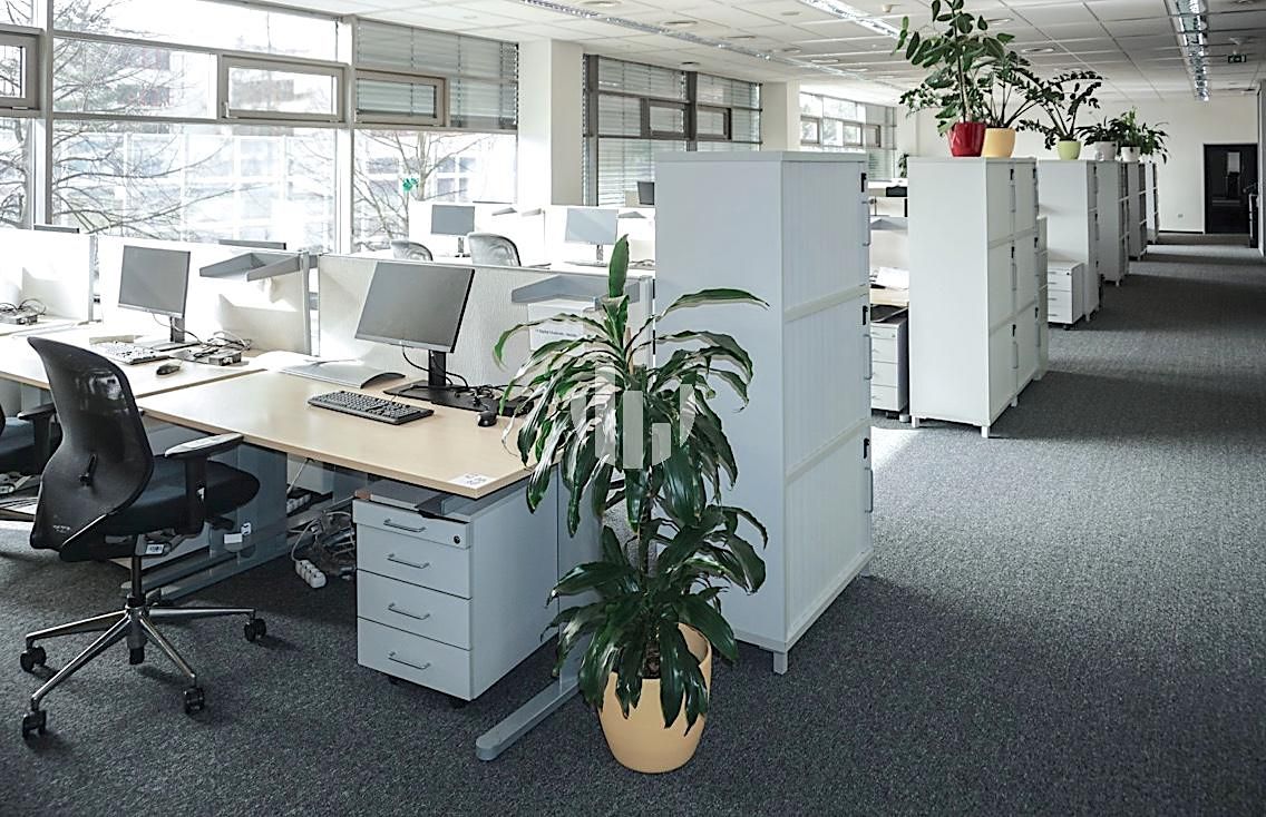 Pronájem kanceláře 516 m² – fotografie 3