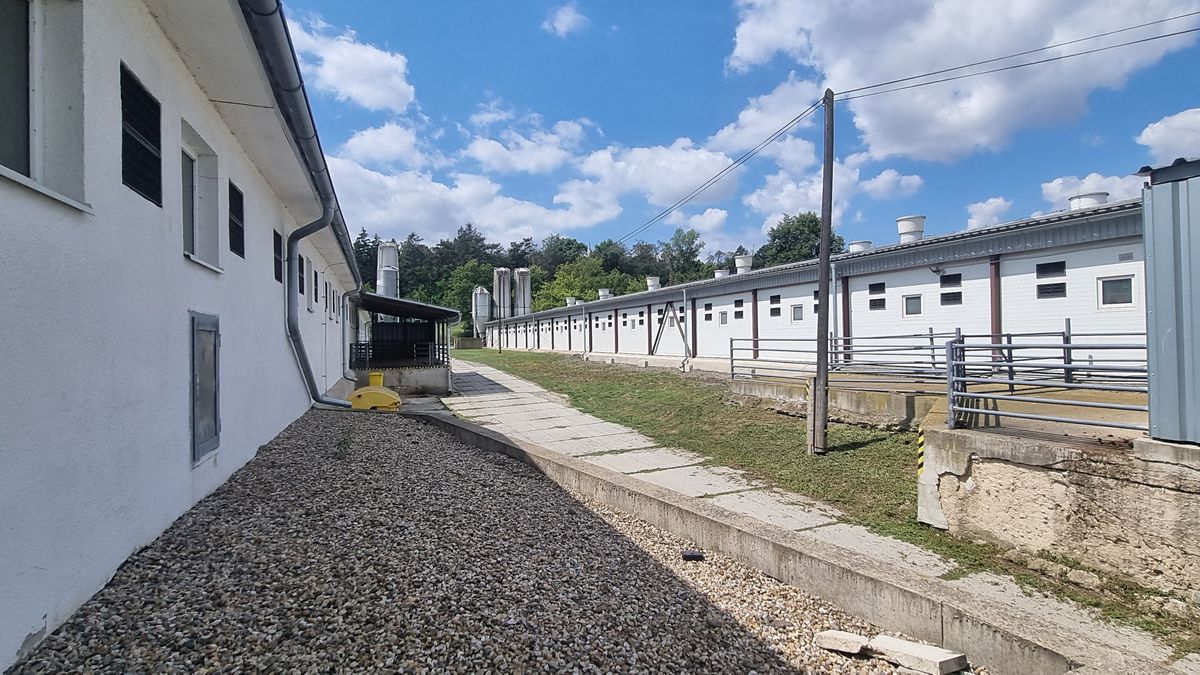 Prodej výrobní haly, prostoru 15000 m² – fotografie 2