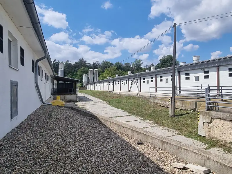 Prodej výrobní haly, prostoru 15000 m², Velký Borek – náhled fotky 2