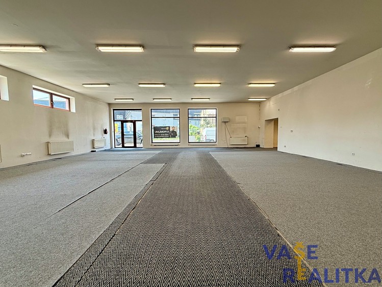 Pronájem komerčního prostoru, 370 m² (6 z 24)