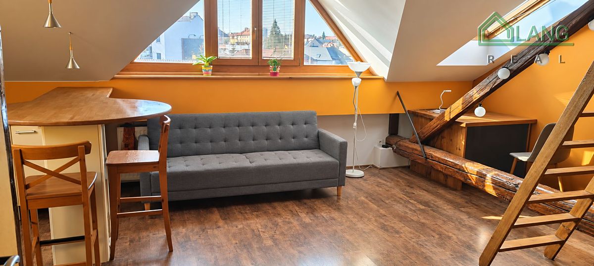 Pronájem bytu 1+kk 50 m² – fotografie 3