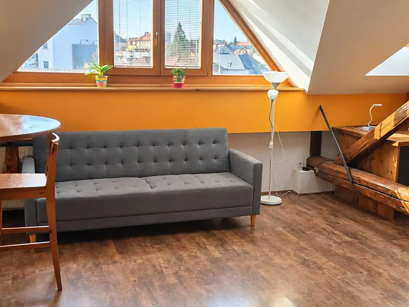 Pronájem bytu 1+kk 50 m², Brno – náhled fotky 3