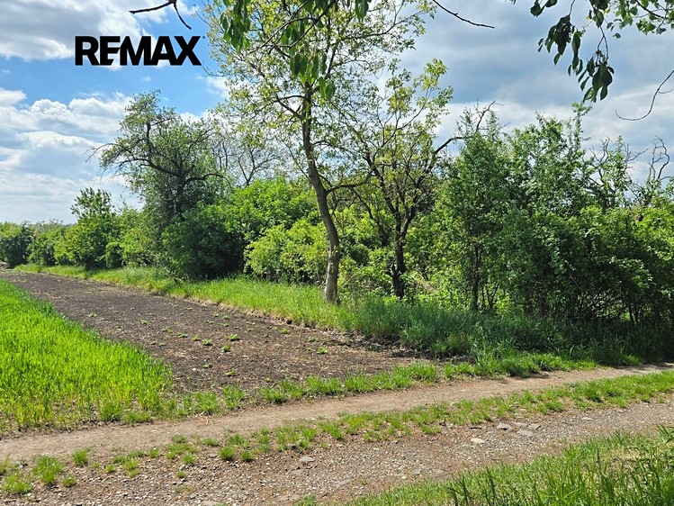 Prodej pozemku, 3 685 m² (9 z 19)