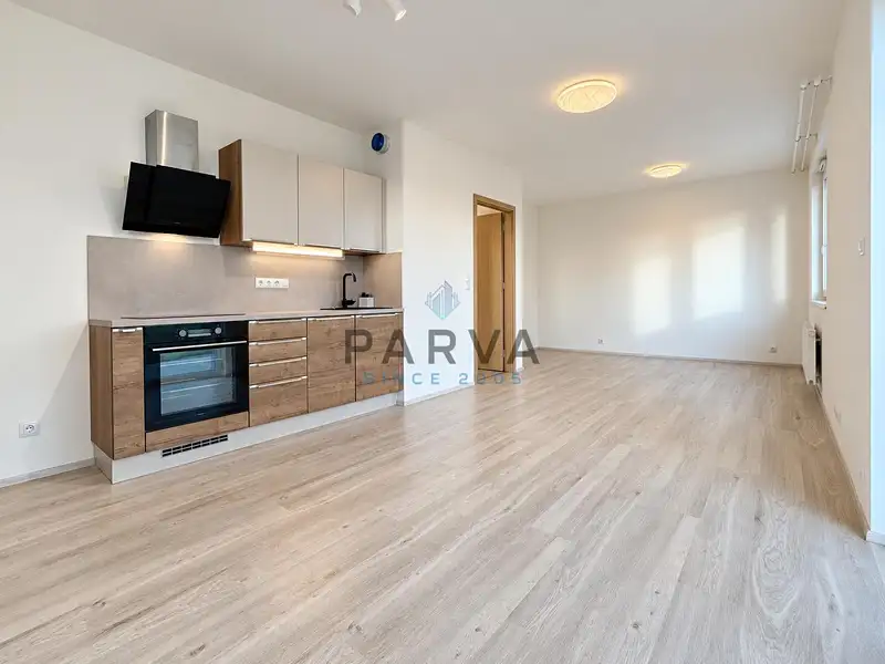 Pronájem bytu 1+kk 41 m², Plzeň – náhled fotky 3