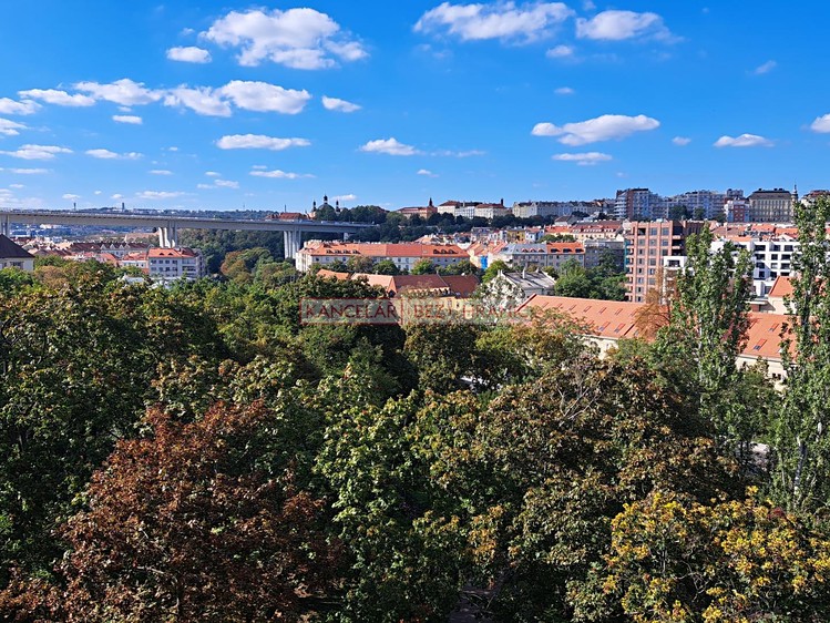 Pronájem bytu 1+kk, 35 m² (8 z 10)