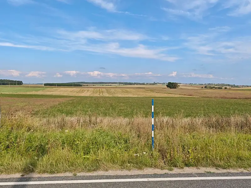 Prodej stavebního pozemku 3767 m², Bělušice – náhled fotky 2