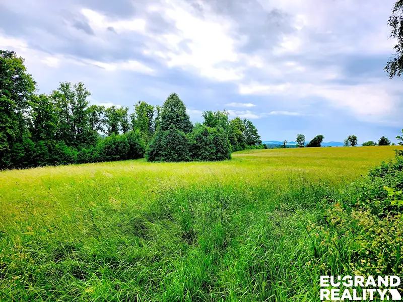 Prodej louky 7471 m², Zákupy – náhled fotky 2