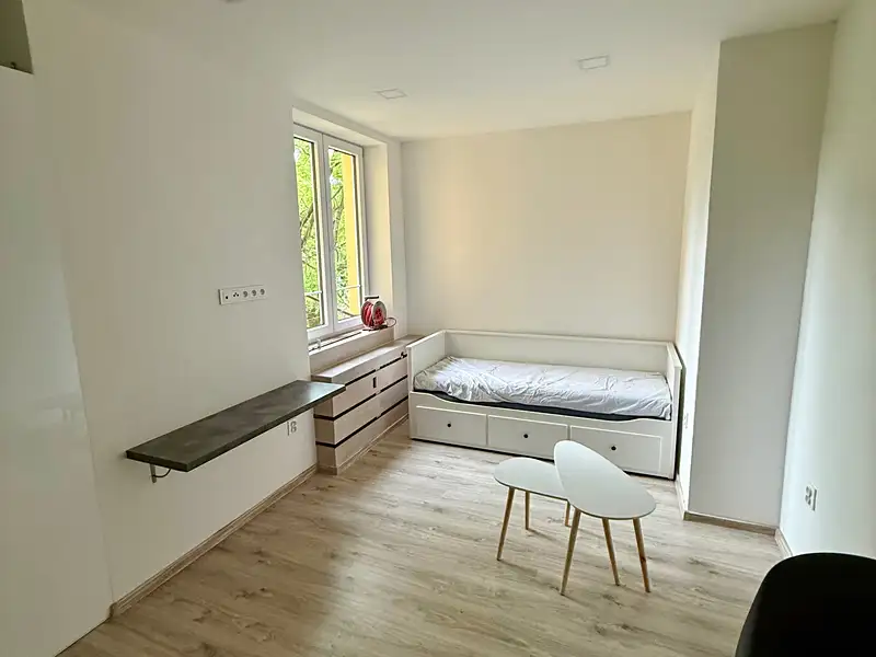 Pronájem bytu 1+kk 24 m², Ostrava – náhled fotky 1