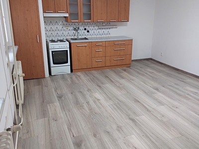 Wohnung 1+kk zur Miete, 39 m² (2 von 7)