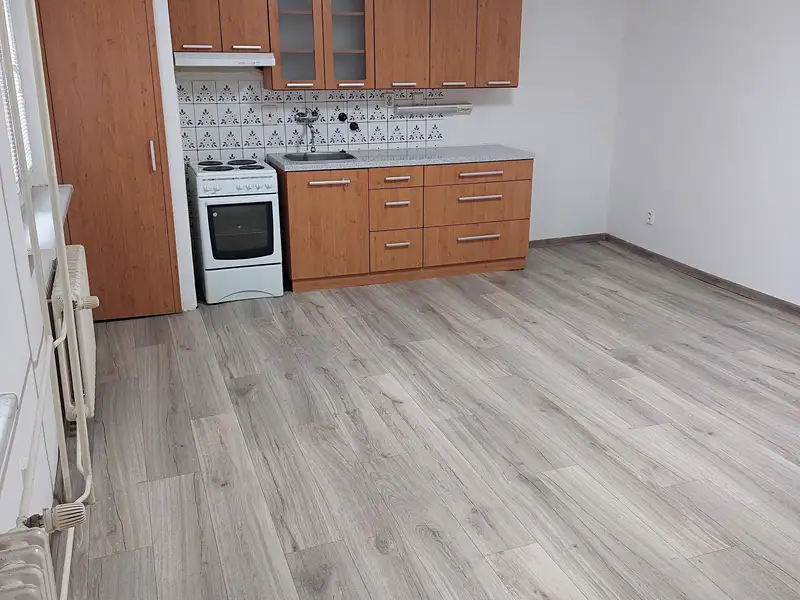 Pronájem bytu 1+kk 39 m², Odry – náhled fotky 2