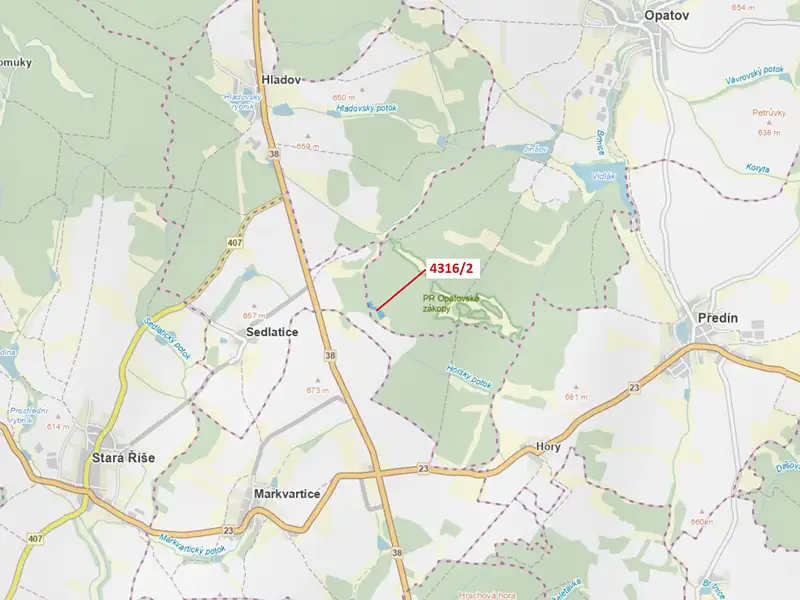 Dražba lesa 7085 m², Opatov – náhled fotky 1