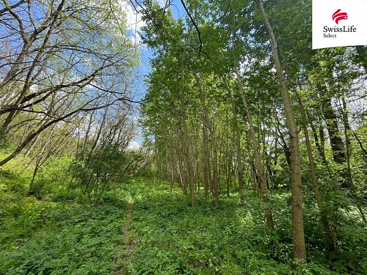 Ostatní