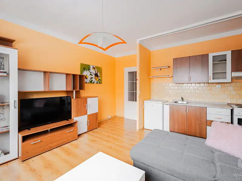 Pronájem bytu 1+1 40 m², Česká Lípa – náhled fotky 2