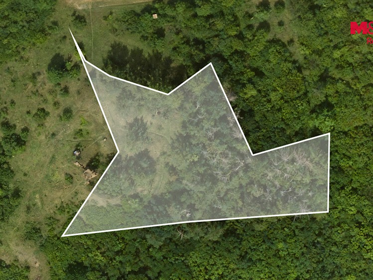 Ділянка на продаж, 8 199 м² (13 з 14)