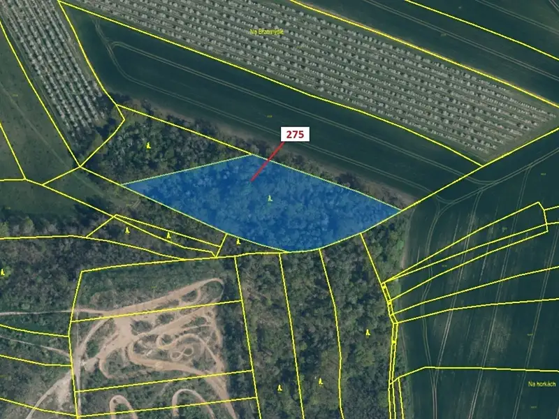 Dražba lesa 10319 m², Jeviněves – náhled fotky 2