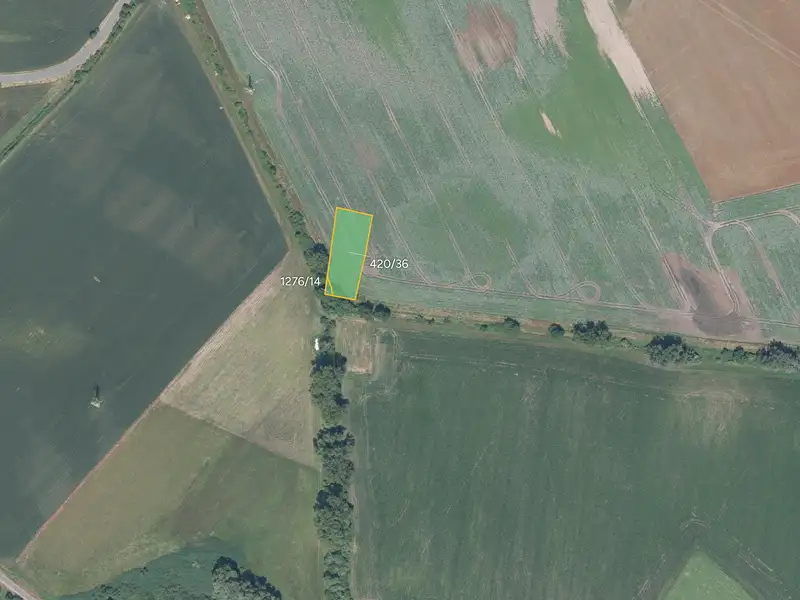 Prodej pole 7487 m², Cerhenice – náhled fotky 2