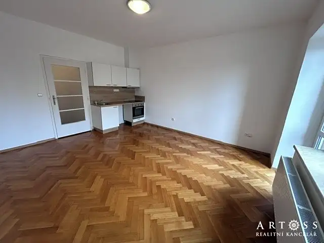 Pronájem bytu 1+kk 22 m², Brno – náhled fotky 3