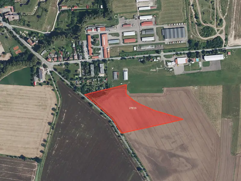 Prodej louky 14345 m², Nový Ples – náhled fotky 1