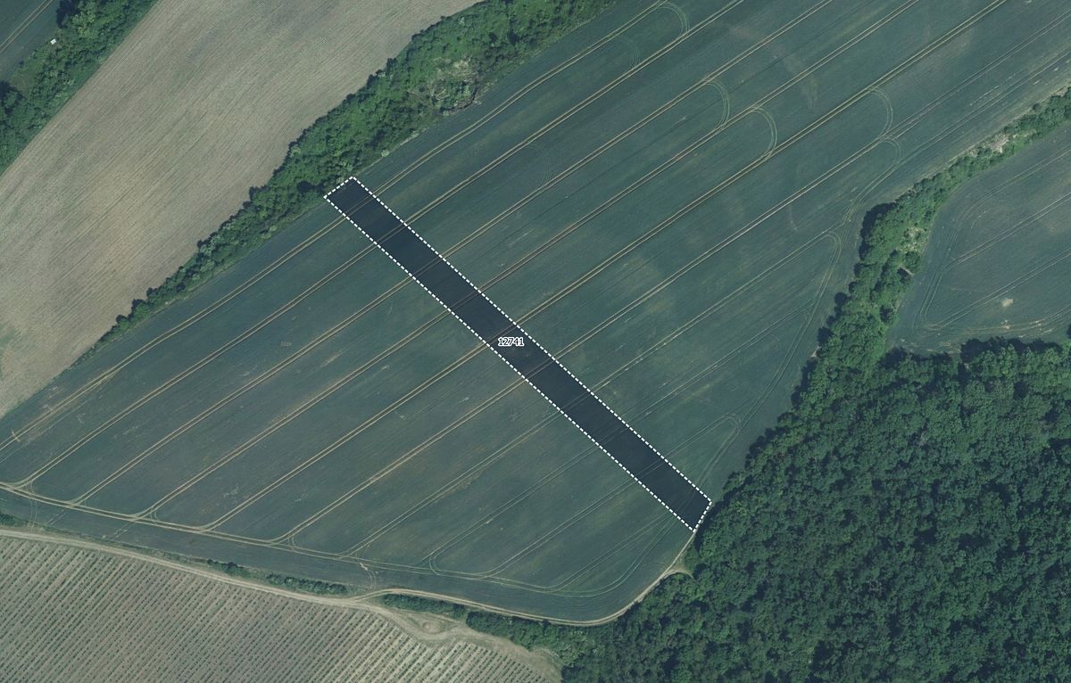 Prodej pole 5978 m², Mutěnice – fotka 1 z 3