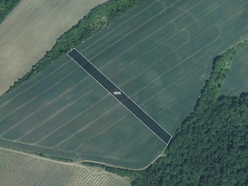 Prodej pole 5978 m², Mutěnice – náhled fotky 1