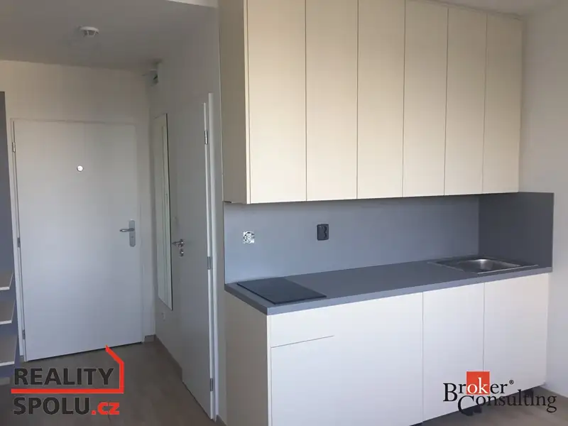 Pronájem bytu 1+kk 19 m², Praha – náhled fotky 1