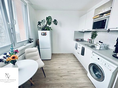 Pronájem bytu 1+1, 35 m² (2 z 9)