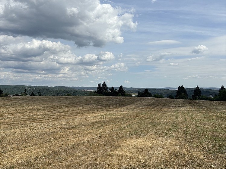 Ostatní