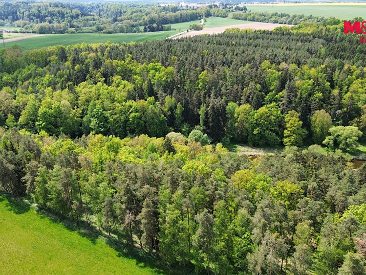 Ділянка на продаж, 79 857 м² (3 з 8)