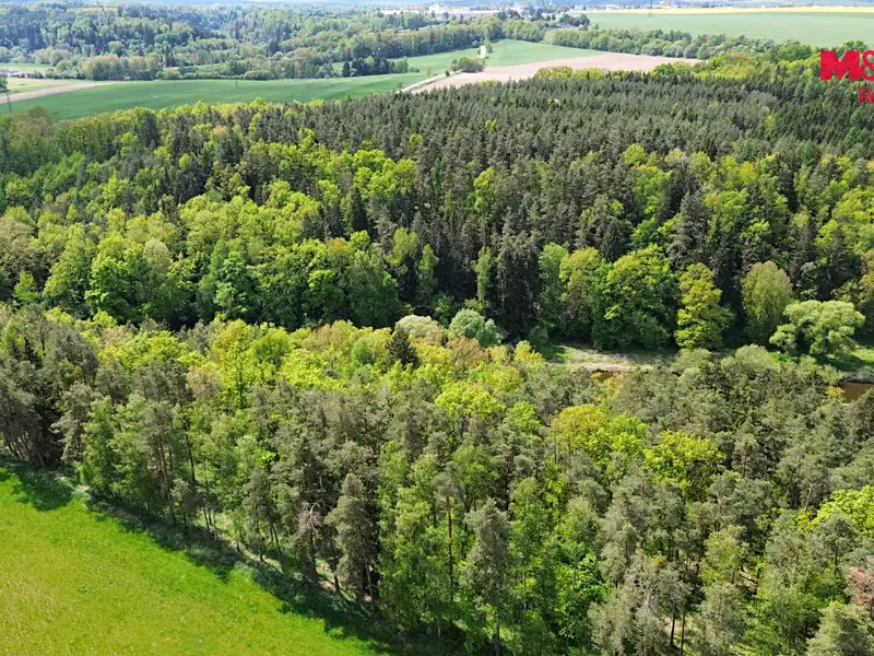 Prodej lesa 79857 m², Černýšovice – náhled fotky 3