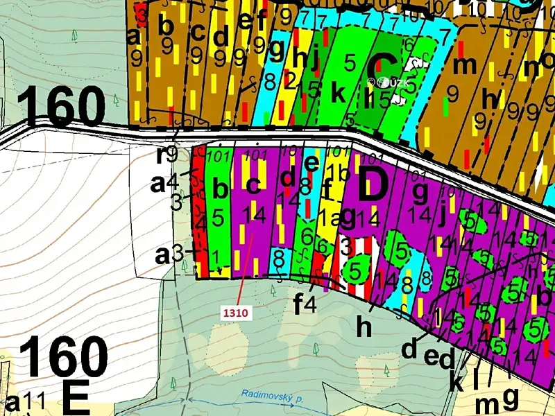 Dražba lesa 7441 m², Skalice – náhled fotky 3