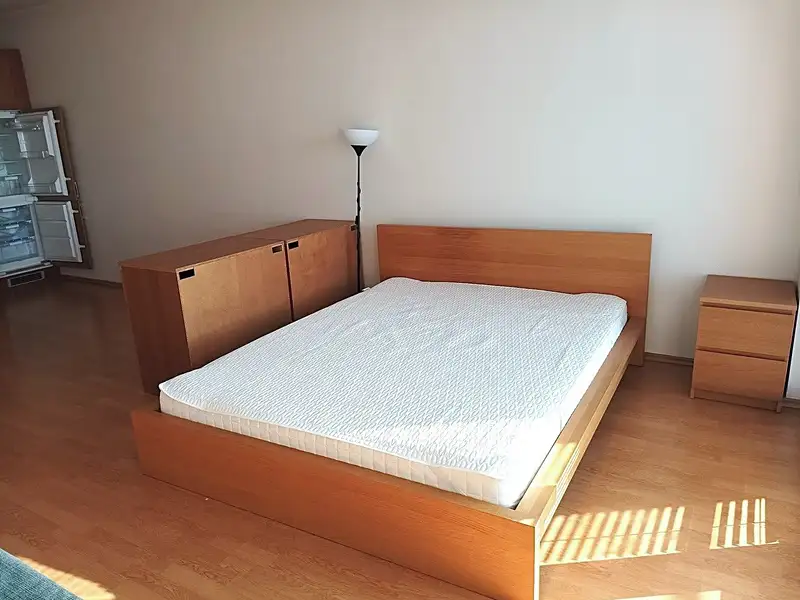 Pronájem bytu 1+kk 44 m², Praha – náhled fotky 3