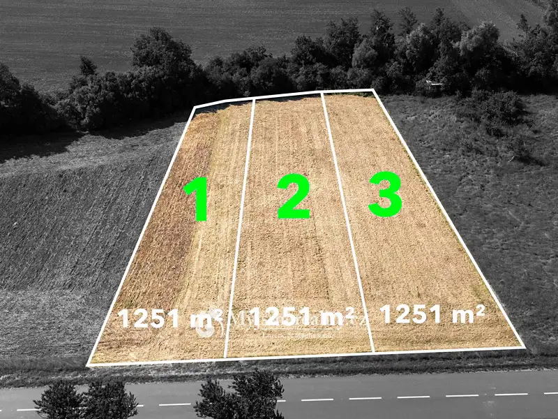 Prodej zahrady 1251 m², Únanov – náhled fotky 1