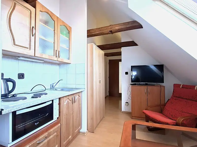 Pronájem bytu 1+kk 24 m², Benešov – náhled fotky 1