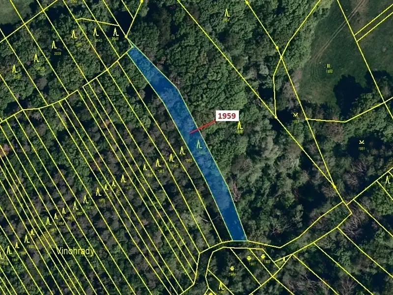 Dražba lesa 1160 m², Kelníky – náhled fotky 2