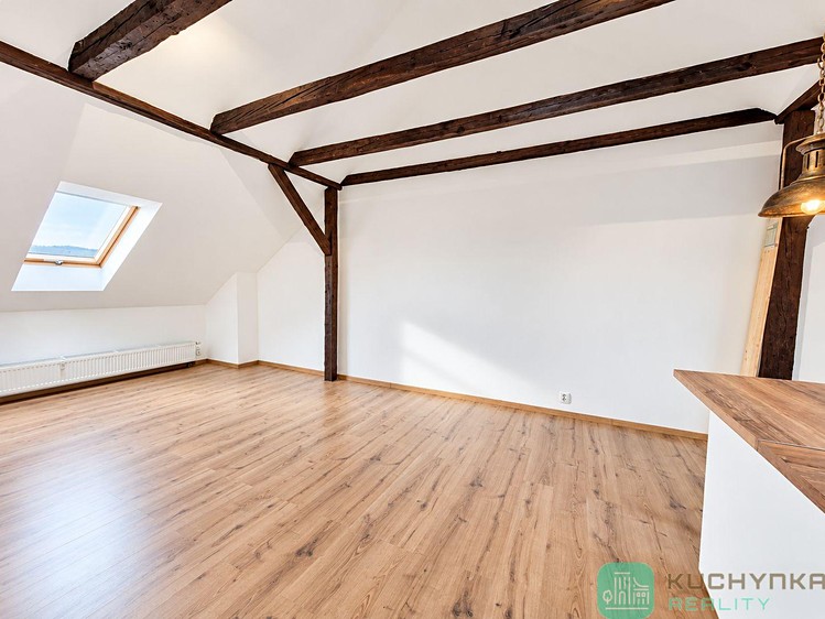 Pronájem bytu 1+kk, 47 m² (4 z 11)