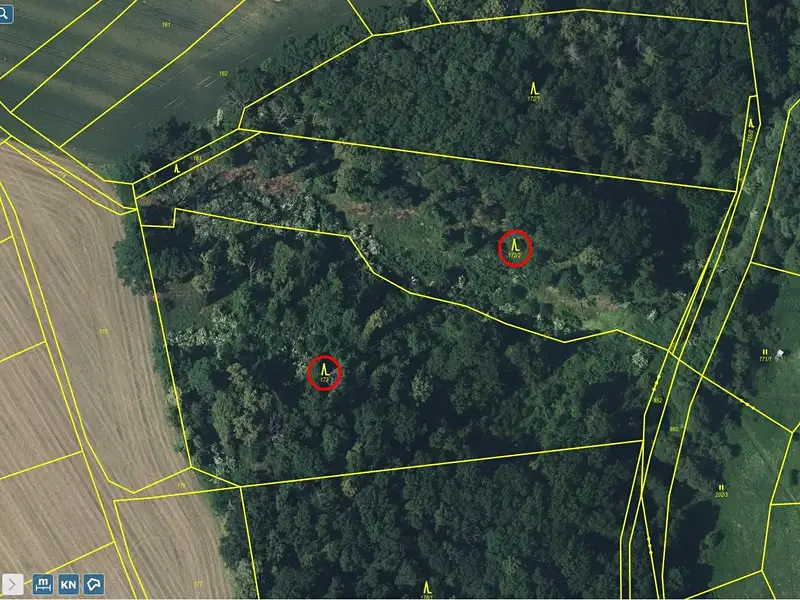 Prodej lesa 21606 m², Kovanec – náhled fotky 3