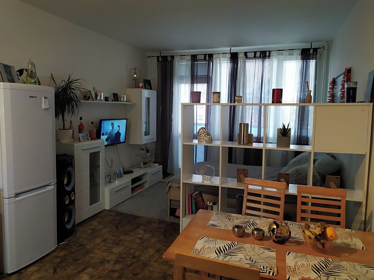Wohnung 1+kk zur Miete, 34 m² (5 von 10)