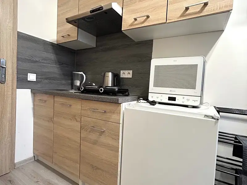 Pronájem bytu 1+kk 18 m², Praha – náhled fotky 3