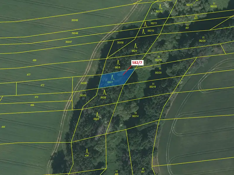 Dražba lesa 316 m², Dražice – náhled fotky 2