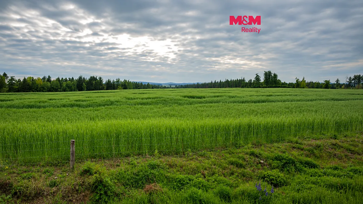 Prodej louky 241144 m²