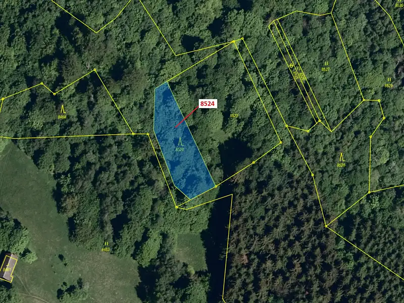 Dražba lesa 939 m², Vsetín – náhled fotky 2