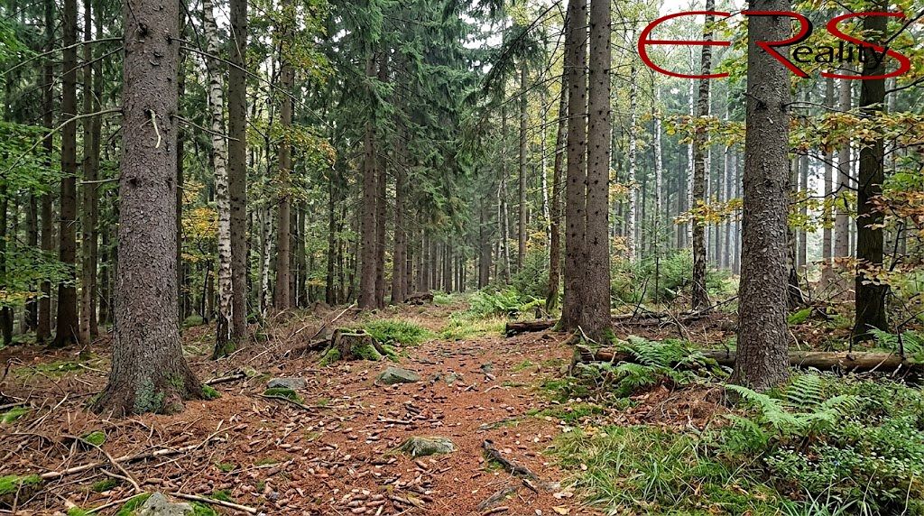 Prodej lesa 37279 m², Merboltice – fotka 1 z 3