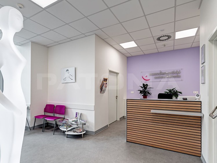 Pronájem komerčního prostoru, 1 292 m² (8 z 16)