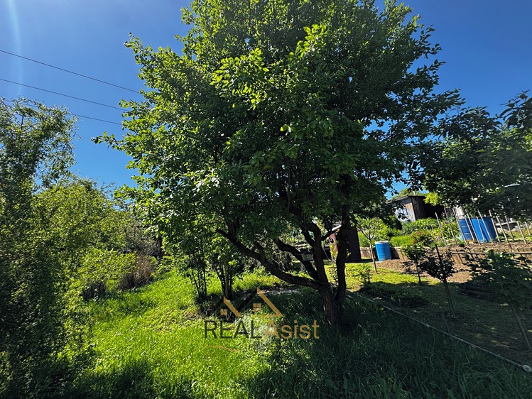 Ostatní