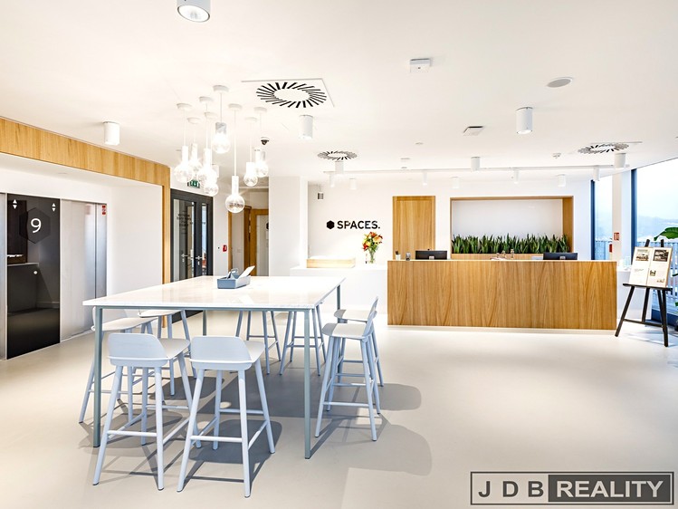 Pronájem komerčního prostoru, 110 m² (13 z 19)