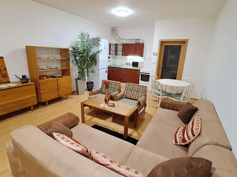 Pronájem bytu 1+kk 42 m², Olomouc – náhled fotky 1