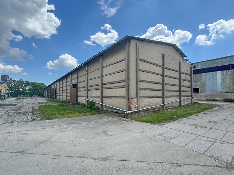 Gewerbefläche zur Miete, 4.204 m² (3 von 8)