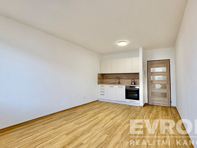 Pronájem bytu 1+kk, 39 m² (2 z 15)