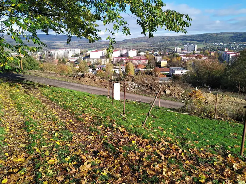 Prodej stavebního pozemku 1000 m², Ústí nad Labem – náhled fotky 1